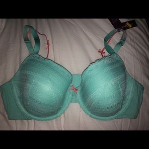 Cacique Teal Bra! ✨